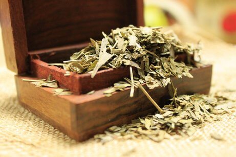 Te på ginkgo biloba kan motverka muskelkramp.