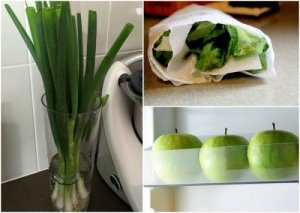 9 trick för att hjälpa dig hålla maten färsk längre