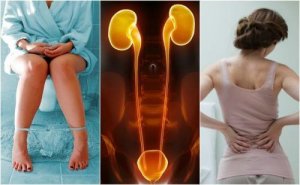 Symptom på njursvikt: 7 tecken du behöver känna till