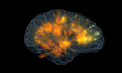 Synapser i hjärnan