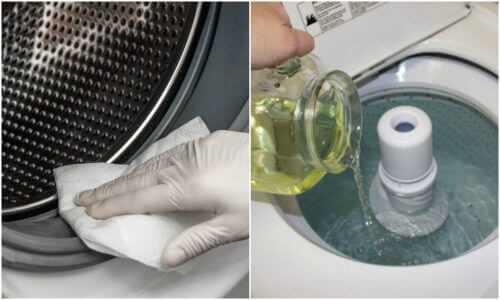 Ta bort mögel från tvättmaskinen: 3 gröna lösningar