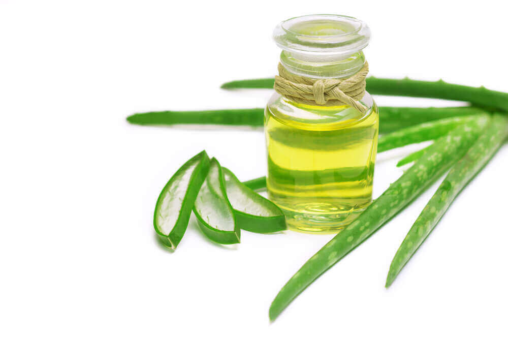 Aloe vera och burk