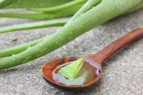 Aloe vera är bra mot skadad hud och hudbristningar