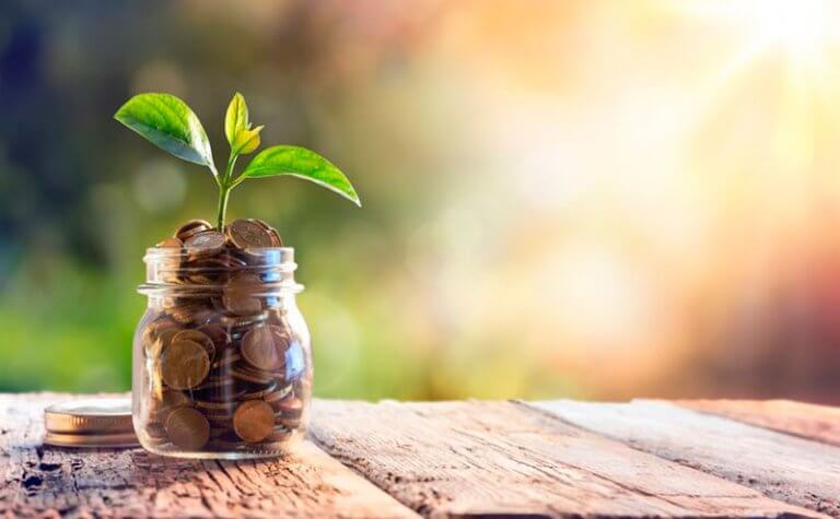 Kakebo hjälper dig att spara pengar