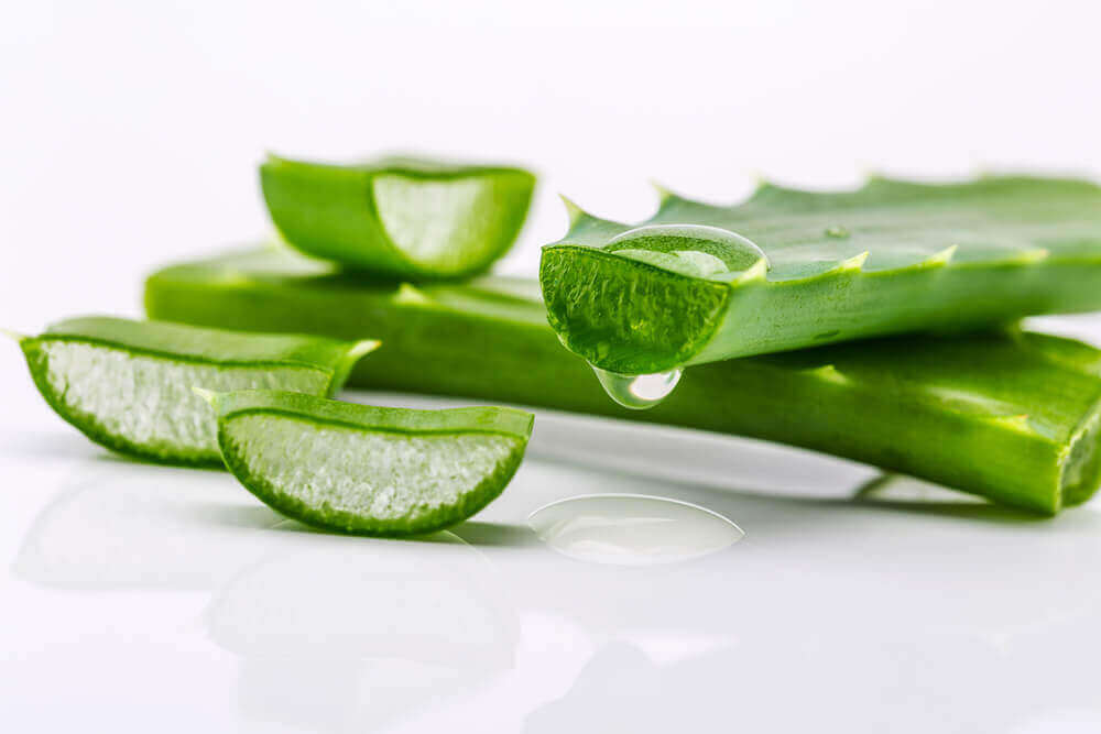Skuren aloe vera