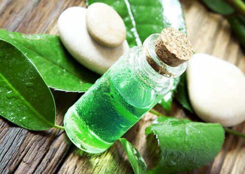 Tea tree olja
