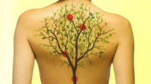 Hur dina organ och känslor är kopplade till varandra