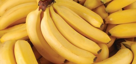 En klase mogna bananer