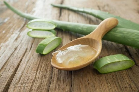 Färsk aloe vera-gel