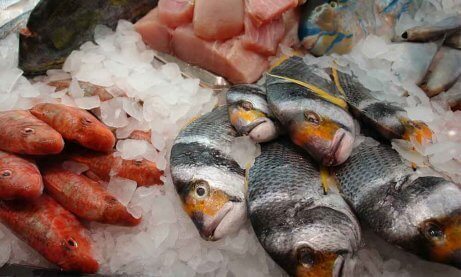 Fisk och kvicksilver