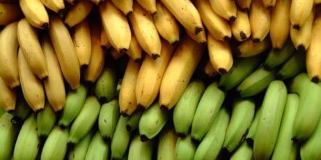 3 skillnader mellan bananer och kokbananer