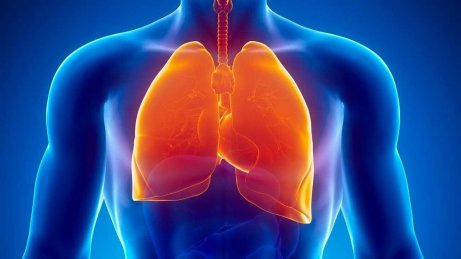 Tuberkulos kan innebära nattliga svettningar