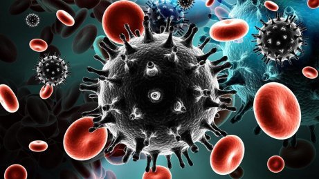 Virus och blodkroppar