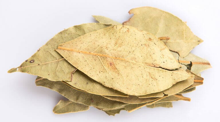 Bunt med lagerblad