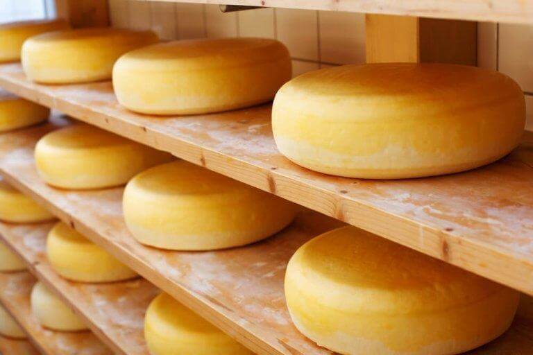 Bland de nyttigare ostarna finns även cheddar