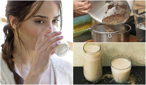 Kanariefrömjölk – vad är det och hur gör man?