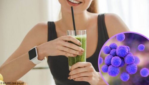 Fyra smoothies för att göra dig av med gifter