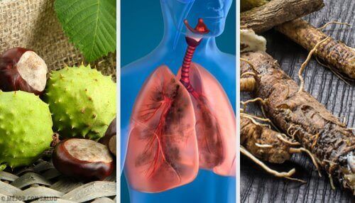 4 huskurer för att andas bättre och stärka dina lungor
