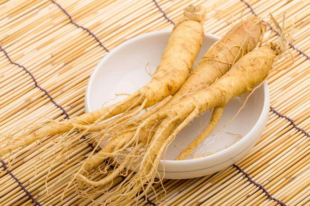 Rot av ginseng