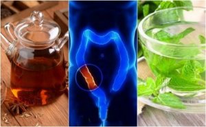Rensa tjocktarmen naturligt med 5 avkok