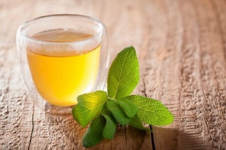 Salvia är antiinflammatorisk