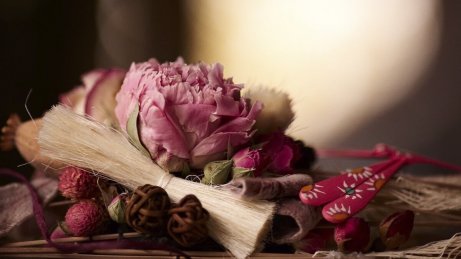 Torkade blommor och örter