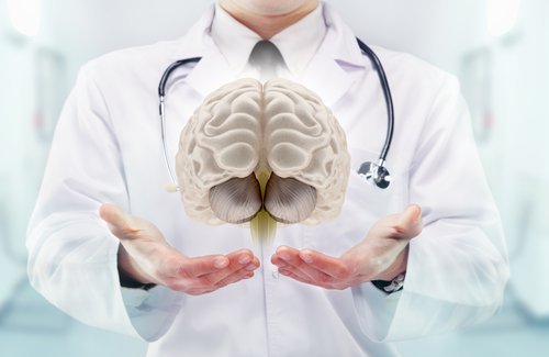 Läkare som håller hjärna