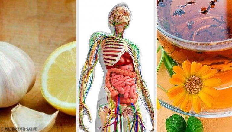 Detoxa lymfsystemet med naturliga kurer och massage