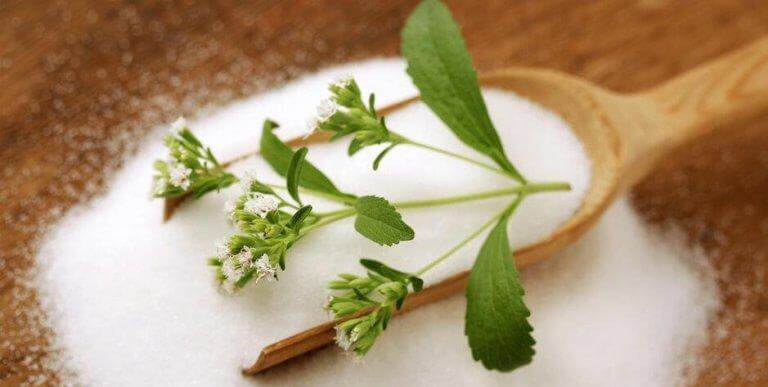 Stevia kan användas som sockerersättning