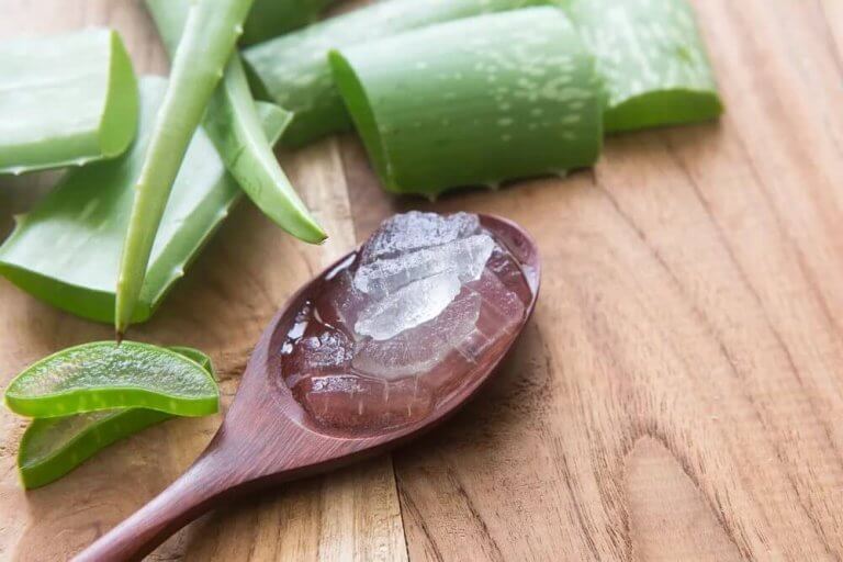 Behandla rynkor med färsk aloe vera