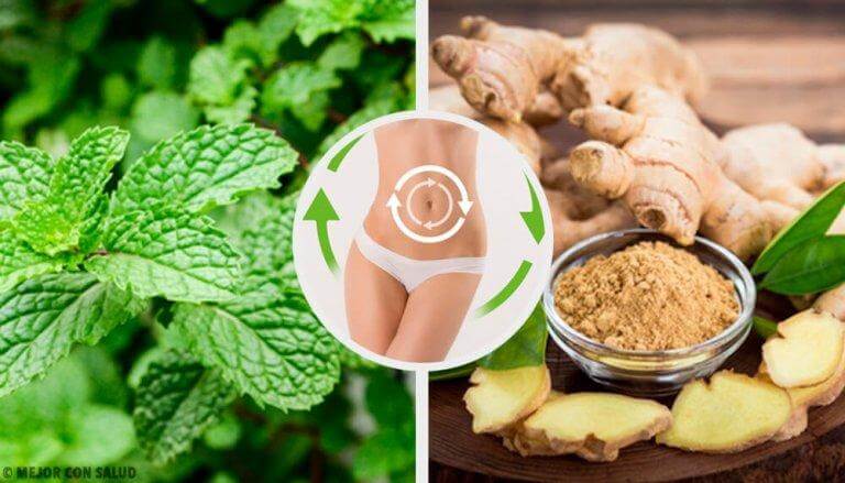 En tredagars detox med mynta, ingefära och citron rensar hela kroppen