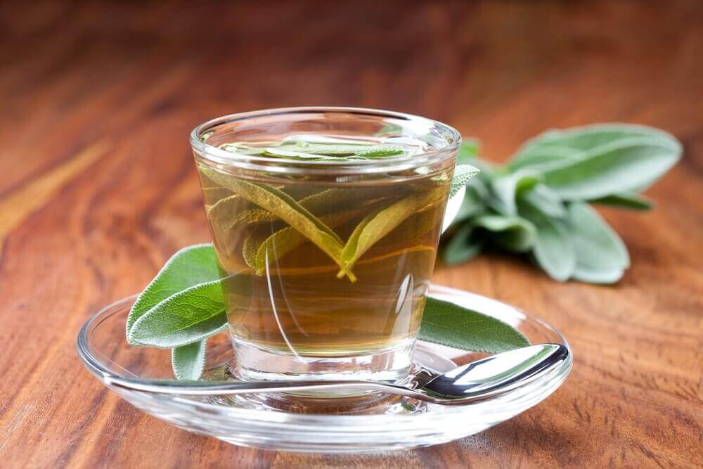 Te på salvia
