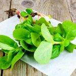 Portlak-är-ett-superlivsmedel