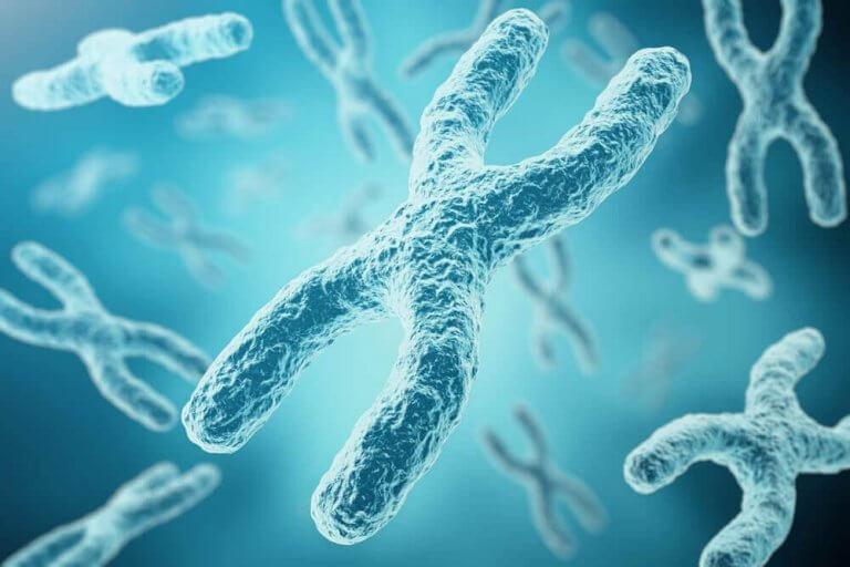 X-kromosomen