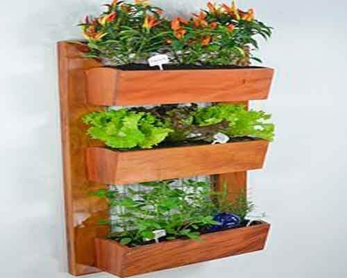 Hängande växter på vägg.