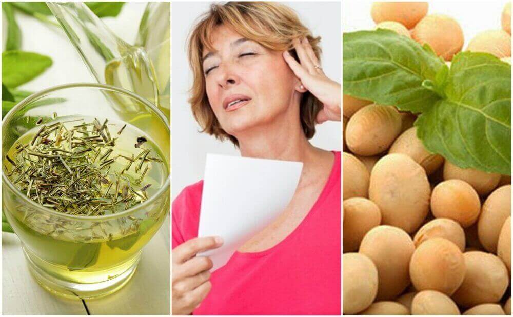 5 naturliga sätt att hantera klimakteriet 5 naturliga sätt att hantera klimakteriet