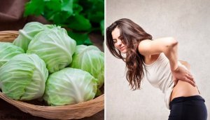 Huskur med lera, vinäger och kål för att lindra bråck