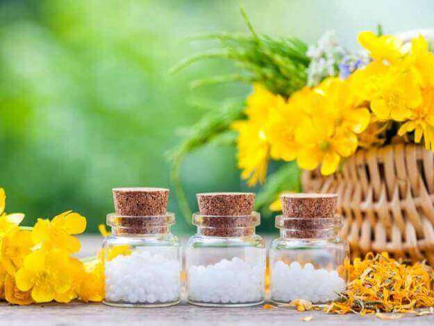 Öka blodflödet med hästfibbla