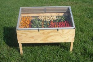 Gör en egen soldriven torkugn för att torka mat