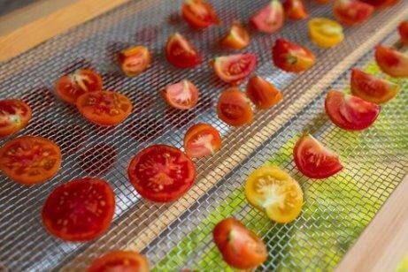tomater i en soldriven torkugn