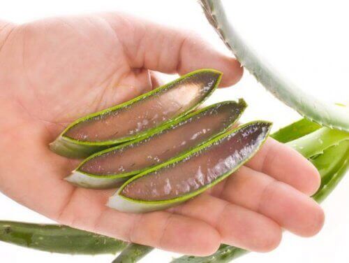 Aloe Vera gel