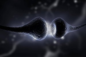 Serotonindieten: vad den är och vilka fördelar den har