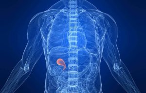 Den bästa kosten efter avlägsnande av gallblåsan