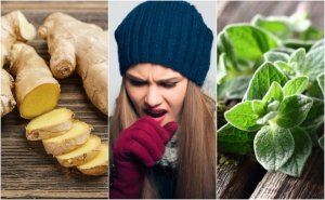 Motverka slem med 5 växtbaserade huskurer