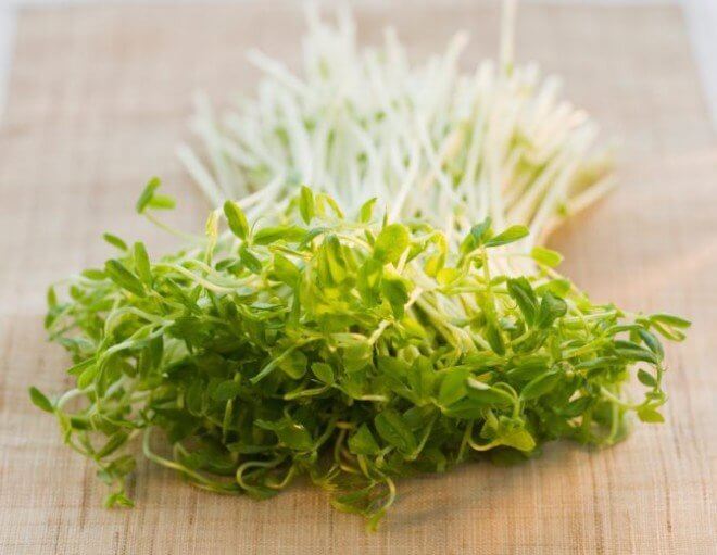 Alfalfagroddar mot hudbristningar