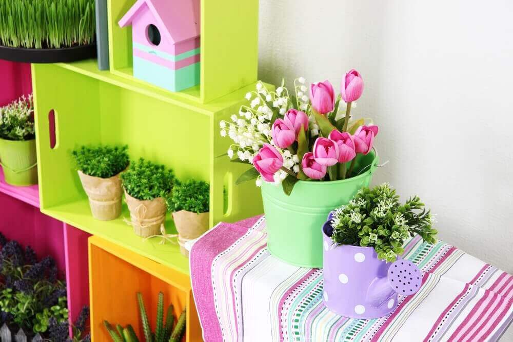 Färggranna blommor