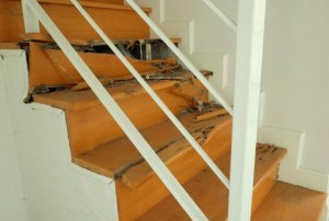 Hur du gör dig av med termiter - konkreta tips