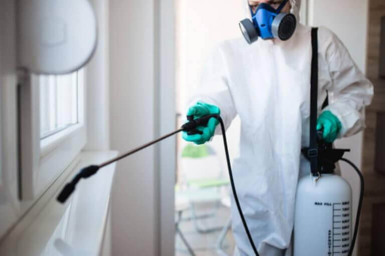 Lär dig hur du gör dig av med termiter