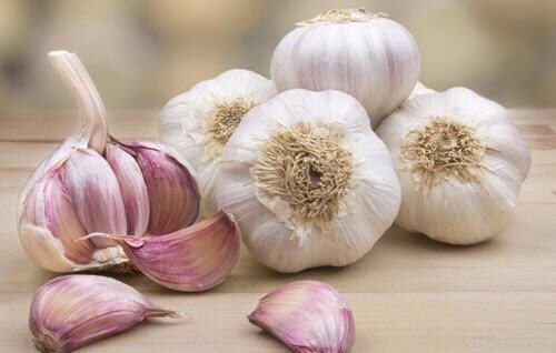 Vitlök har många egenskaper