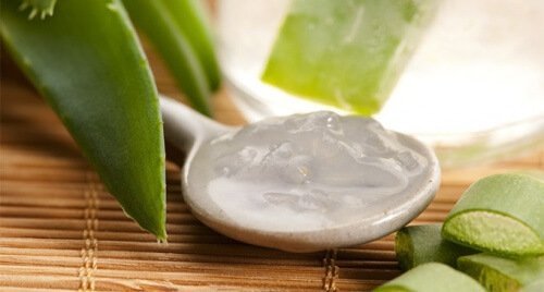 Gel av aloe vera.